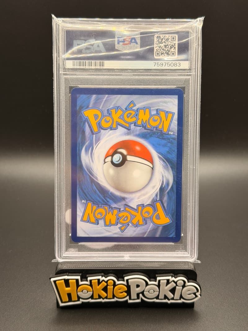 Aerodactyl VSTAR back