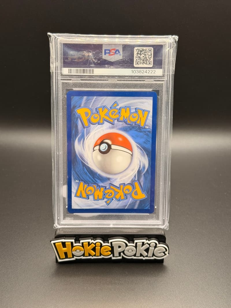 Blastoise ex back