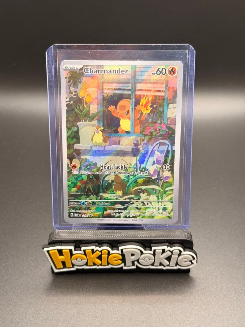 Charmander (actual photo)