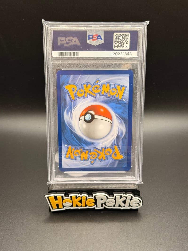 Salamence ex back