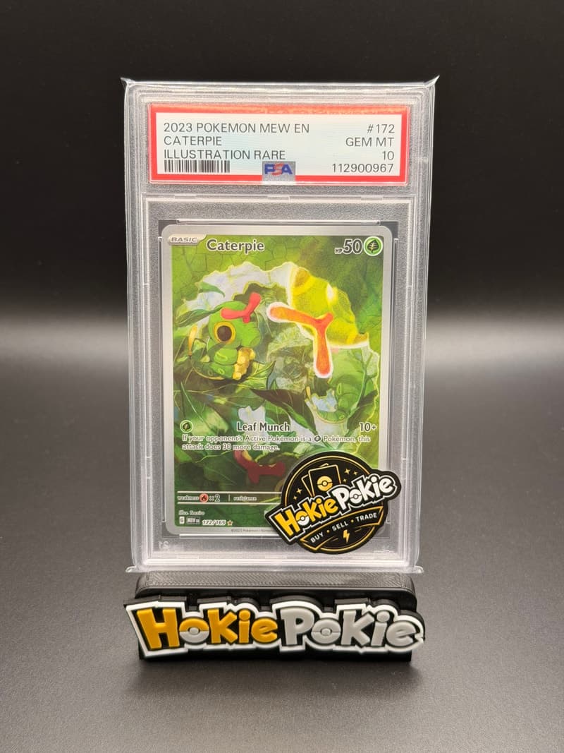 Caterpie, PSA 10 graded, card 172 of 165 from the 2023 Scarlet & Violet 151 Pokémon TCG set. Actual photo of the card in hand.