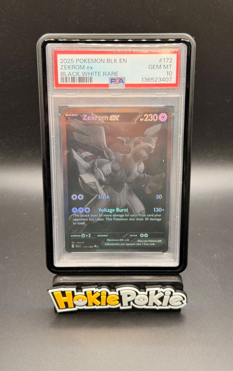 Zekrom ex, PSA 10 graded, card 172 of 86 from the 2025 Black Bolt Pokémon TCG set. Actual photo of the card in hand.